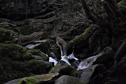Malham, North Yorkshire, England